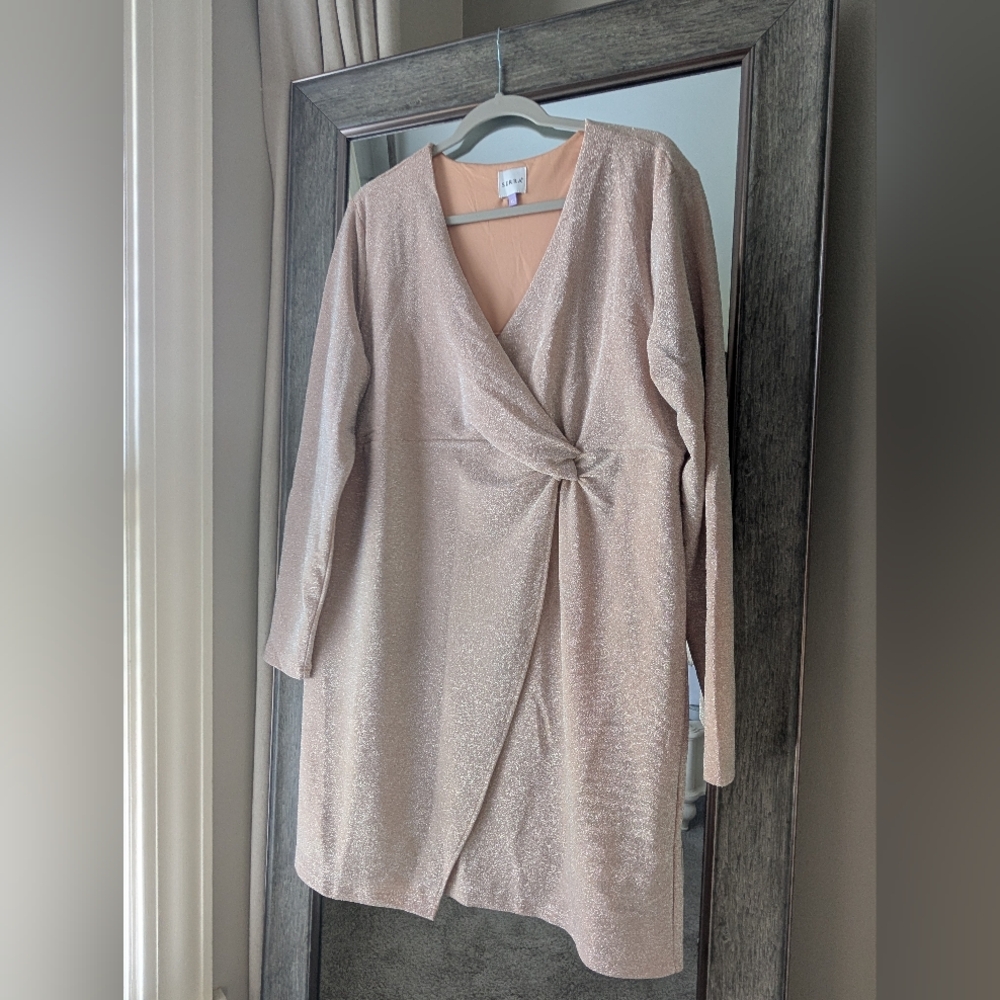 Serra Shimmering Beige Long Sleeve Dress